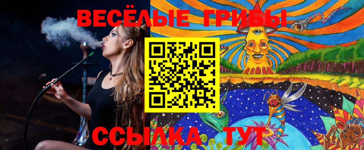Псилоцибиновые грибы MAGIC MUSHROOMS Советский
